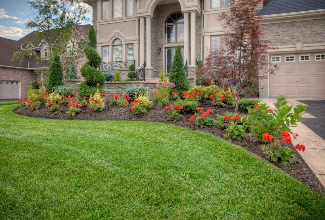 Curb Appeal, Elevated